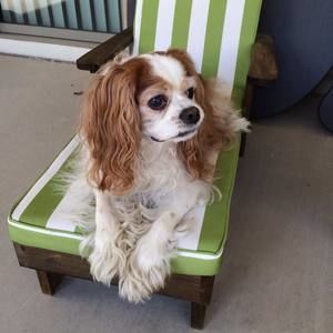 Meet your Posher, Stephanie